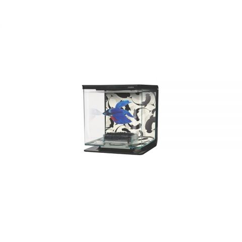 Marina Betta Kit Ying Yang