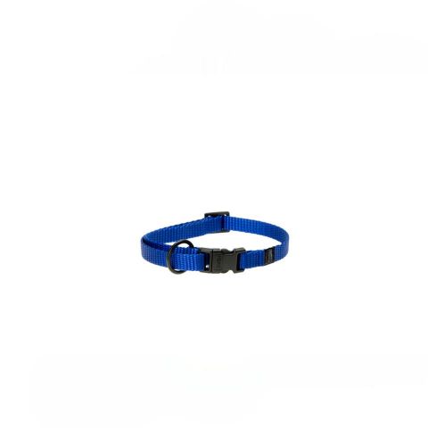 collar  SPORTIV PLUS 40mm 55-75cm AZUL