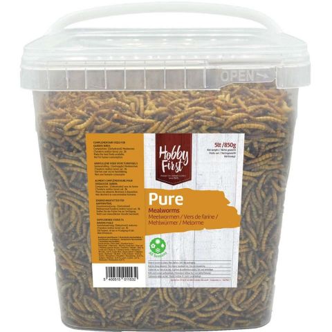 Hobbyfirst pure mealworms 850gr