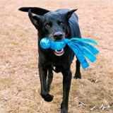 Kong Wubba Comet talla S 