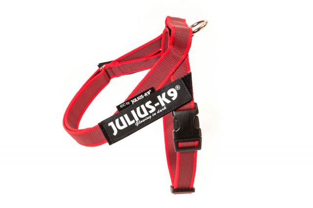 Arnés de cinta K9 rojo&gris IDC® talla 2 PVP: 54€