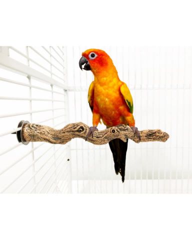 Jungle perch S