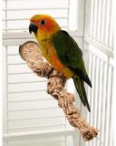 Jungle perch S