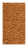 Psittacus parrot breeder 15Kg