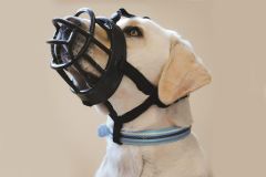 Bozal TPR Baskerville safety muzzle TALLA 4