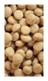 Psittacus Alta Proteina 800gr  2ª UNIDAD 10.15€