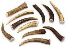 Asta de ciervo M (40-75cm)