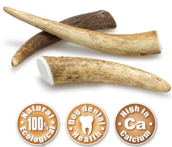 Asta de ciervo XL (151-225gr)