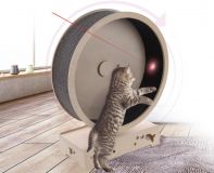 Rueda de ejercicio para gatos 75x33x93cm PVP: 360€