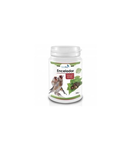 Encelador Natur FORTEBIRD