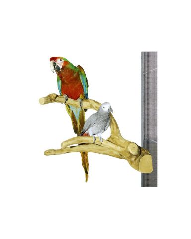 java Multibranch large