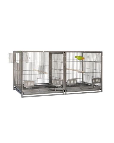 Módulo cría pvp:165€ (Disponible en 48h)