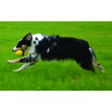 Pelota ligera dura FOAM Azul talla M